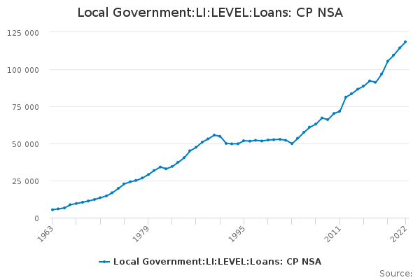 Local Government:LI:LEVEL:Loans: CP NSA
