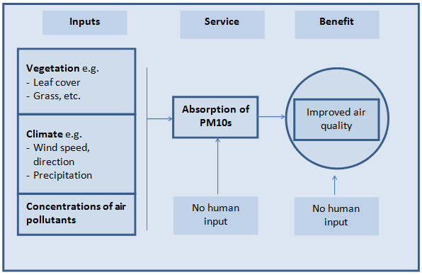 Model depicting the ecosystem service; pollution removal