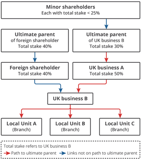 The path to the ultimate parent company from the UK company is via the route of largest shareholder at every stage. 