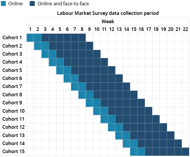 Data collection periods by cohort for the Labour Market Survey (LMS).