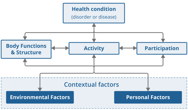 Figure 4: Biopsychosocial model of disability as understood in the WHO’s International Classification of Functioning, Disability and Health (ICF)	