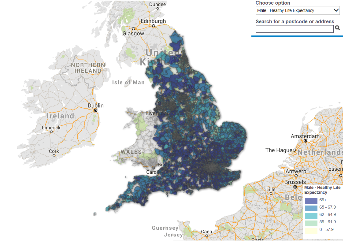 Small Areas variation in healthy life expectancy