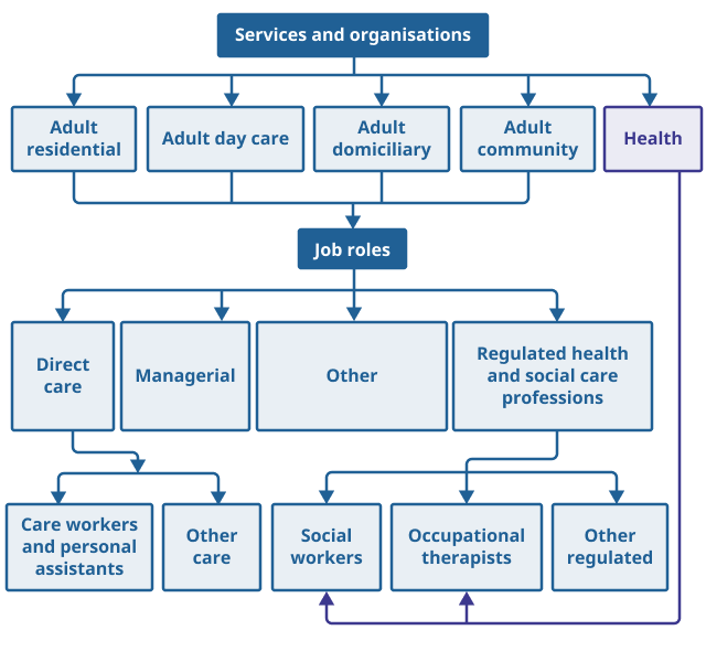 Flow chart showing the hierarchy of service or organisation types and job roles in the adult social care workforce (ASC-WF) used in this research.